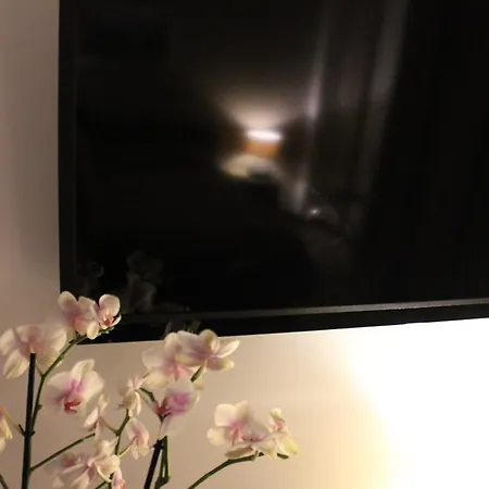 住宿加早餐酒店 Casa Grant